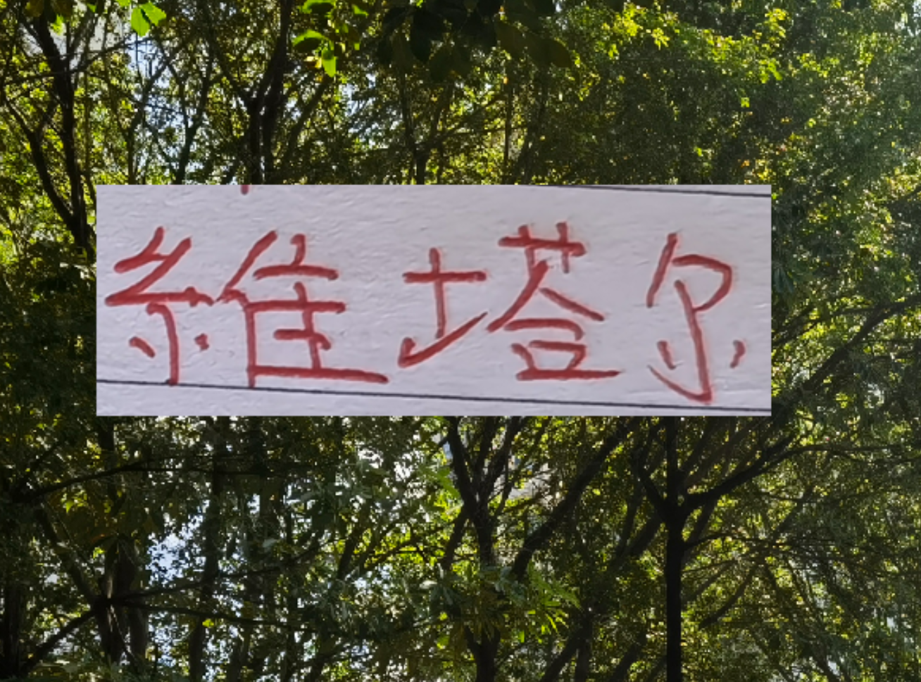 APP下载-上个赛季中超前4的十号 就海港10号维塔尔助攻最多 出场也最多